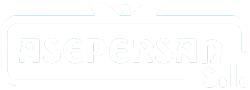 Logo Asepersan